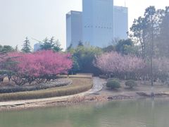 -白塘生态植物园