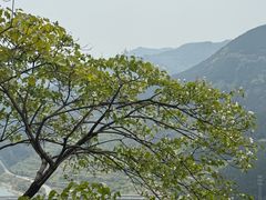 -舒家湾天主教堂