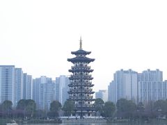 -洋湖国家湿地公园