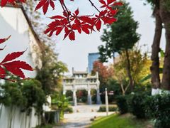 -武汉园博园(武汉自然博物馆)