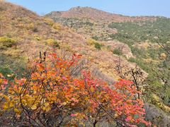 -香山公园