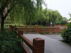 -新江湾城公园
