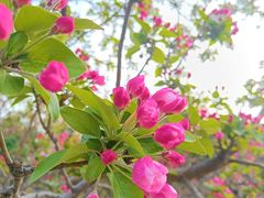 -元大都城垣遗址公园