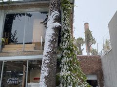 -VOYAGE COFFEE 咖啡烘焙工坊店(798艺术区店)
