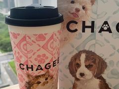 -霸王茶姬(泛海广场店)