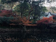 -虎跑公园
