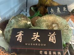 -爱膳菌锅锅(阳南店)