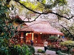 -中国茶叶博物馆(双峰馆区)