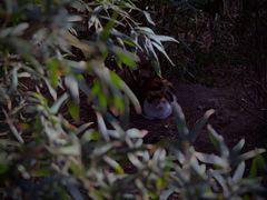 -贮水山儿童公园