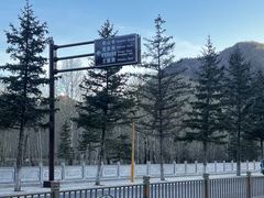 -一盏明灯全素斋(五爷庙店)