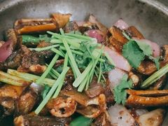 生啫黄鳝煲-广宁炭炉鸡煲·富临门饭店