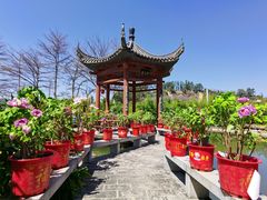 -广州神农草堂中医药博物馆