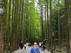 -山王坪喀斯特国家生态公园