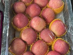 -江杨农产品批发市场