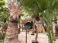 -呀路古热带植物园