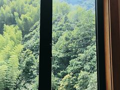 -将军关探险漂流