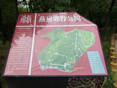 -白水寺森林公园