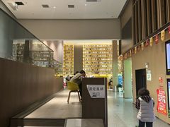-深影国际影城(学院南路店CGS中国巨幕店)
