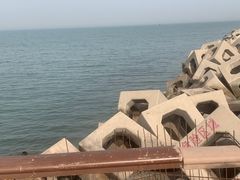 -东疆建设开发纪念公园