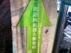 -紫金山山顶公园