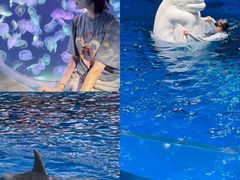 -太平洋海底世界