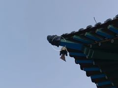 -迎泽公园