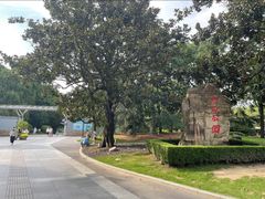 -中山公园