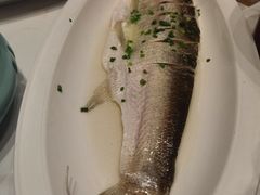 -松沪名灶·豆浆鱼头·新上海菜(江川路交大店)