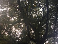 -定园