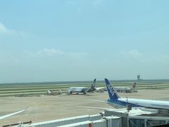 -上海浦东国际机场-T2航站楼