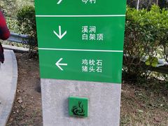 -火炉山森林公园