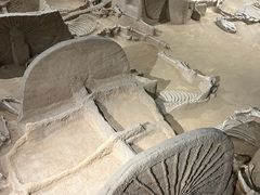 -洛阳周王城天子驾六博物馆