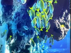 -北戴河圣蓝海洋公园