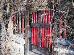 -斯多格书乡(北京大学畅春园店)