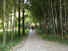 -同里国家湿地公园