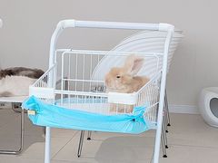 -怪兽屋·羊驼·猫咖·狗咖(俊华广场店)