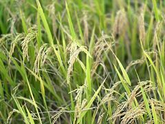 -李叔同故居纪念馆