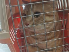 -宠颐生汉谟拉比宠物医院