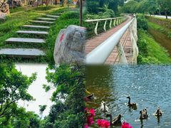 -广州市帽峰山景区