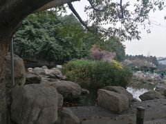 -神仙树公园