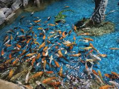 -石林冰雪海洋世界