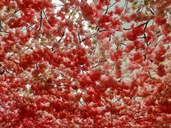 -浦·传统日式料理(3 5 1 1 店)