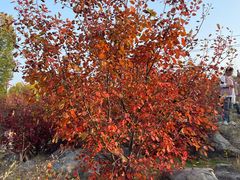 -青州市云门山风景区