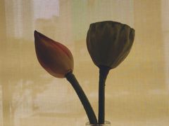 -一坐一忘云南菜(嘉里中心店)