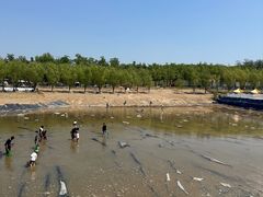 -青龙湖公园