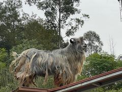 -黄龙溪欢乐田园