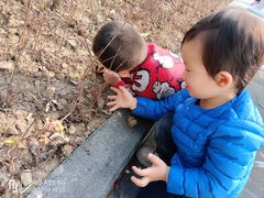 -白塘生态植物园