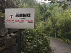 -都江堰中华大熊猫苑