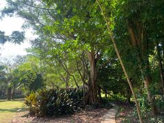 -中国科学院西双版纳热带植物园