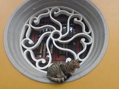 -西园寺素食(西园弄戒幢律寺店)